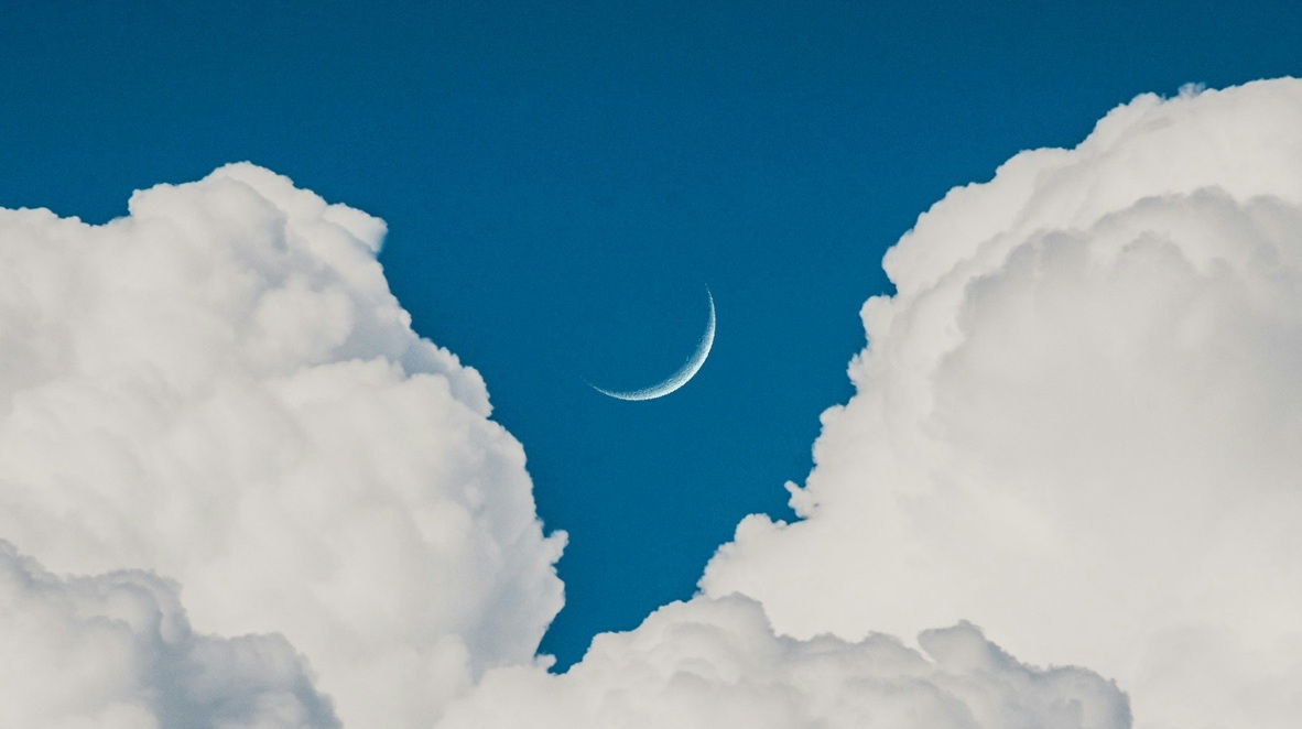 KPN en Schwarz Digits introduceren soevereine Europese cloud