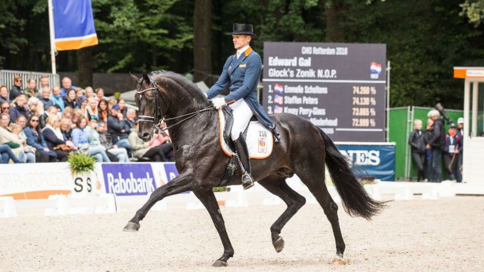 Rabobank sponsor Dressuur CHIO Rotterdam 